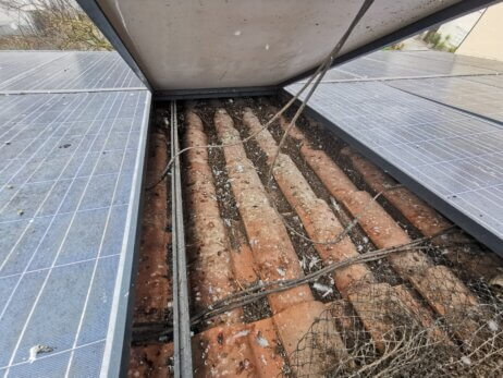 La sporcizia ed i residui degli animali sotto un pannello, risultato della mancata manutenzione dell'impianto fotovoltaico.